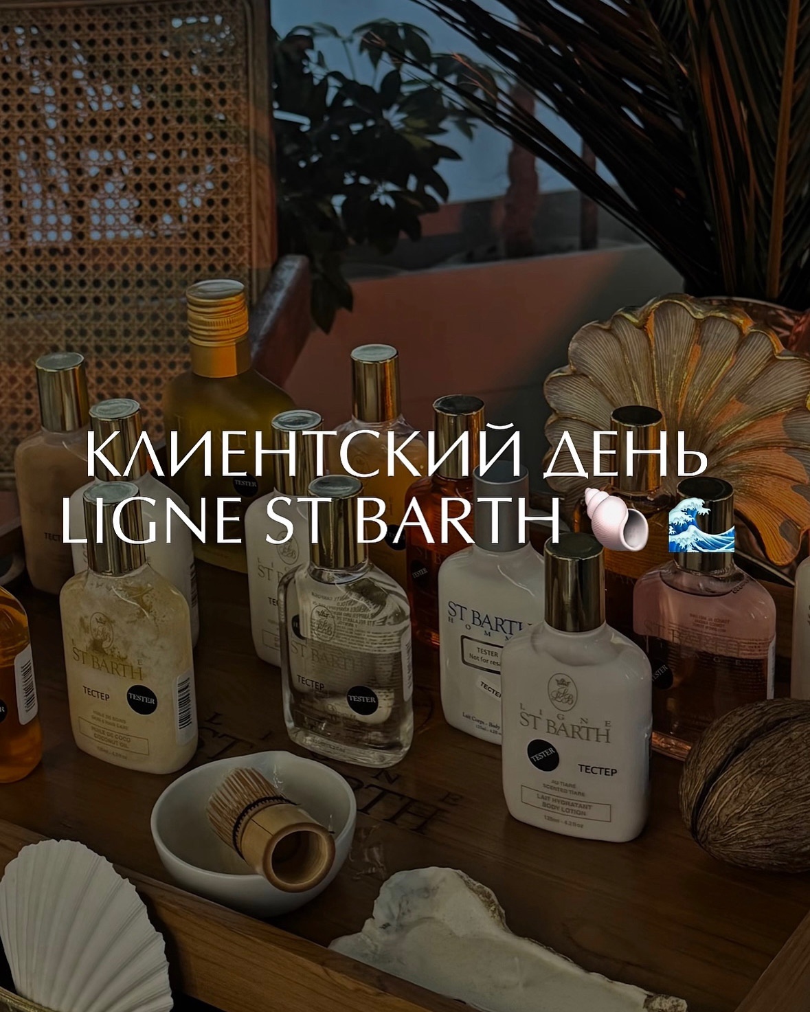 «Остров Тай СПА» стал партнером карибского бренда Ligne St Barth «Остров Тай СПА» стал партнером карибского бренда Ligne St Barth